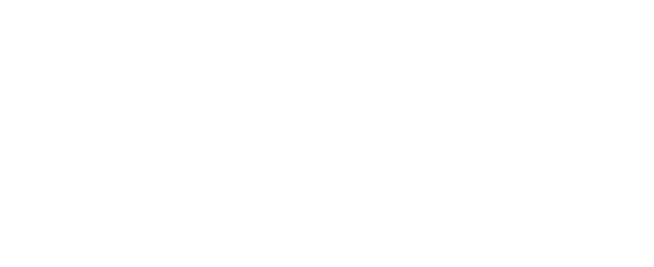 logo ajax in collab con domilea Studio : agenzia di Comunicazione a Torino