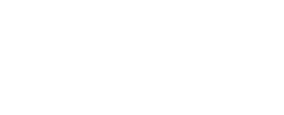 logo maina nel sito di domilea, Studio di Comunicazione Pubblicitaria a Torino