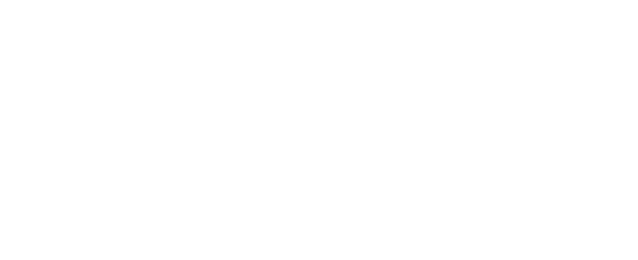 Logo dell'associazione di legambiente a Torino nel sito di domilea, Studio di Comunicazione in Torino, provincia e tutta Italia