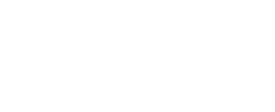 Logo dell'azienda Boombogie Torino nel sito di domilea, Studio di Comunicazione