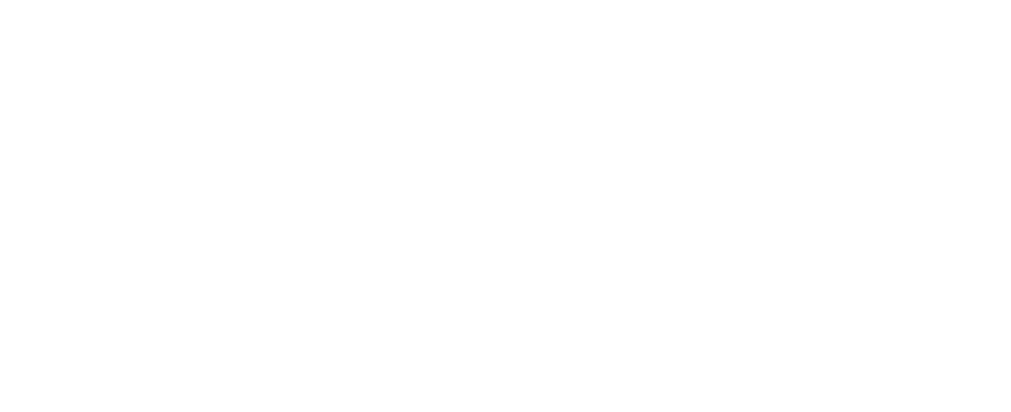 logo geometry global nel sito di domilea, agenzia di Comunicazione a Torino