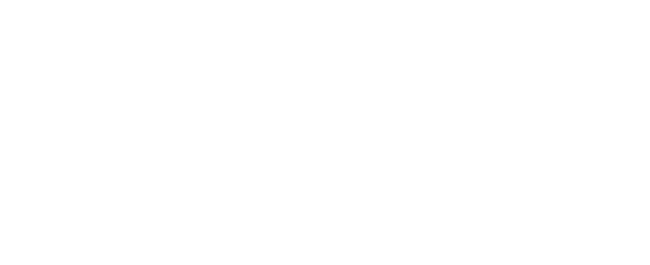 Logo dell'azienda Zoom Torino nel sito di domilea, Studio di Comunicazione a torino