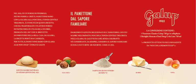 griglia sito_PORTFOLIO_Galup_Offline1 Strenne4